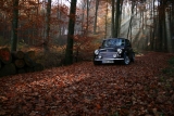 Fotoshooting Herbst