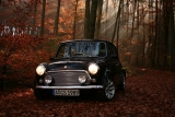 Fotoshooting Herbst