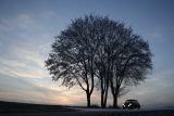 Abendlicht