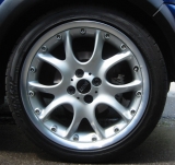 17" Webspoke