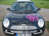 MyMini