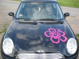 MyMini