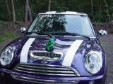 MDM 11/2006