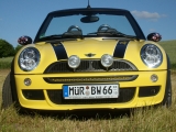 Mdm 08/10 hexenbiene 1