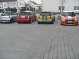 Schubbern Am 31.10.09 Rockys Neues Quartier