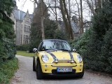 Neuste Impressionen In Liquid Yellow