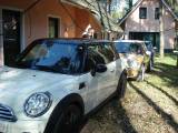 Treffen Meck.-pomm. 2009
