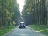 Treffen Meck.-pomm. 2009