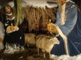 Ce-weihnachtsausfahrt 19.12.2010