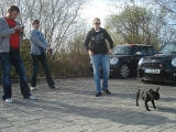 Ce-stammtisch 09.04. Oschatz/döbeln