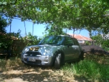 CIMG3502