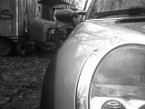 mini7