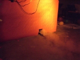 nebel