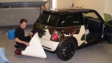 THE MINI