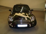 THE MINI