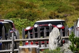 Crossing Alps 0178
