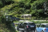Crossing Alps 0190