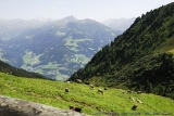 Crossing Alps 0200