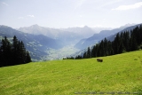 Crossing Alps 0211