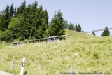 Crossing Alps 0367