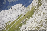 Crossing Alps 0404