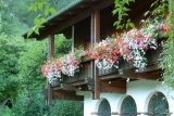 Crossing Alps Valerie 0033