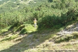 Crossing Alps Valerie 0088