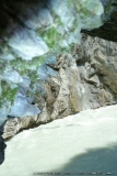Crossing Alps Valerie 0221