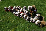 Jagst Kocher Tour 2011 0023