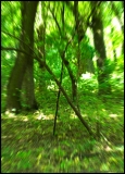 Nature Goes Xa