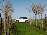 Little Chubv 20110410 0008
