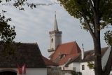 Little Chubv 20111030 0005