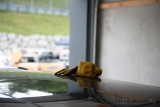 Zk Trackday 20140815 0142 Lr