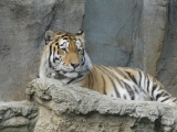 Leipzig Zoo 21.06.09