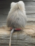 Leipzig Zoo 21.06.09
