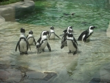 Leipzig Zoo 21.06.09