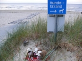 Ausflug Zum Strand