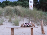 Ausflug Zum Strand