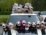 4.mcpomm Treffen