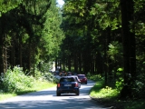 Durch Den Wald Richtung Waidhofen/ybbs