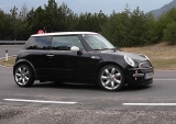 Cosmos Black
