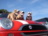 Doggy Style ;->