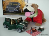 Lego Mini