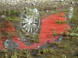 Rote Spiegelung