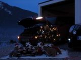 Santa Bulldog