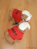 Us Bulldogs 01