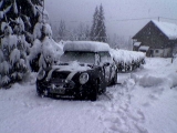 schnee