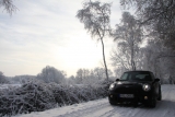 Winter Mini