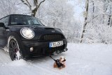 Winter Mini