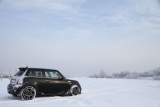 Winter Mini